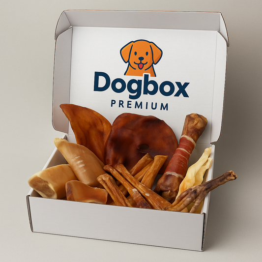 DogBox Viandes pour Chien – Dogbox Premium 100% Naturelle