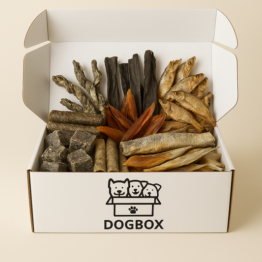 DogBox Poisson pour Chien – Friandises Naturelles Dogbox Premium
